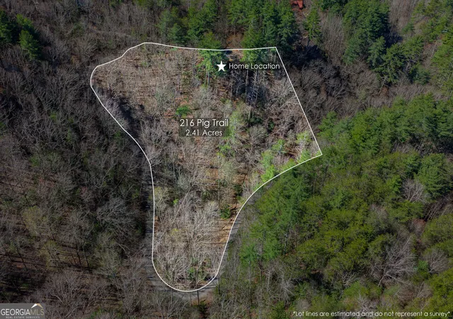 Homes for sale in Cherry Log, GA | 216 Pig Trl, Cherry Log, GA 30522 | MLS# 10736101