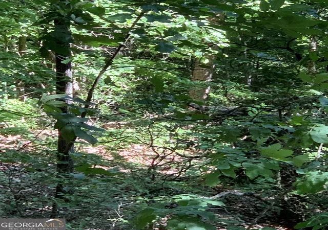 Photo 2 of Land for sale at 2046 Amy Crk Cir #34, Ellijay, GA 30540 | MLS# 10638871 | Listing updated on 2026-10-31