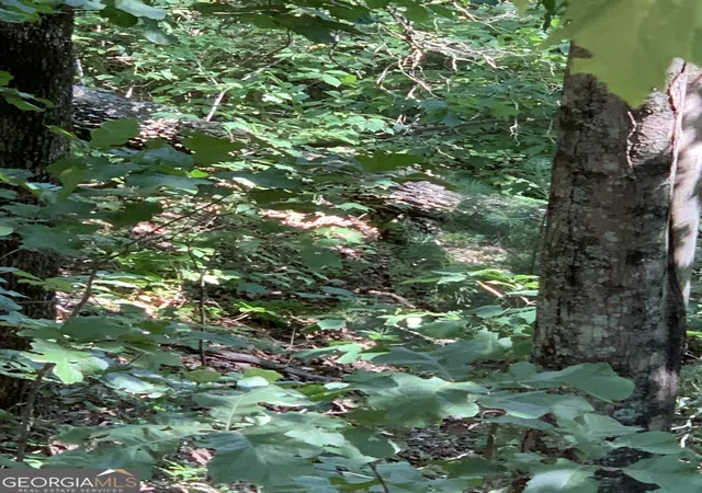 Photo 3 of Land for sale at 2046 Amy Crk Cir #34, Ellijay, GA 30540 | MLS# 10638871 | Listing updated on 2026-10-31