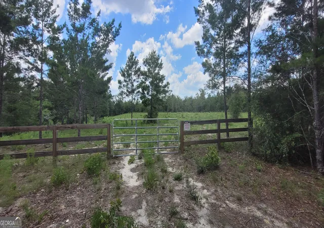 2nd image of 1029 Acres Holmes Valley Rd, Vernon, FL 32462 | MLS# 10811632