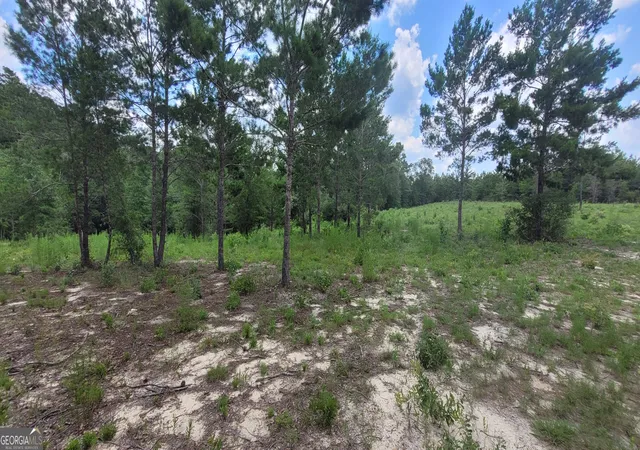 3rd image of 1029 Acres Holmes Valley Rd, Vernon, FL 32462 | MLS# 10811632