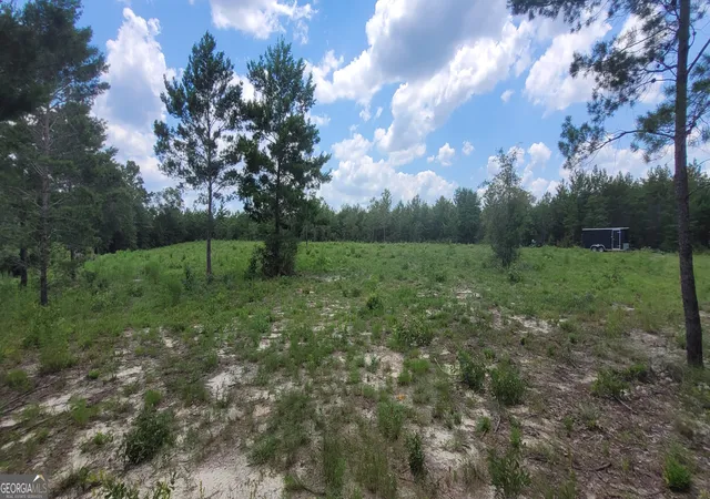 4th image of 1029 Acres Holmes Valley Rd, Vernon, FL 32462 | MLS# 10811632