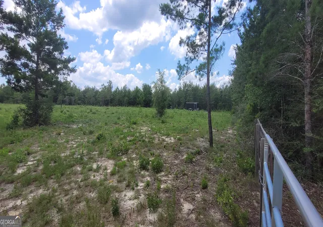 5th image of 1029 Acres Holmes Valley Rd, Vernon, FL 32462 | MLS# 10811632