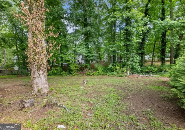 54th image of 4984 Willow Overlook, Stone Mountain, GA 30088 | MLS# 10790008