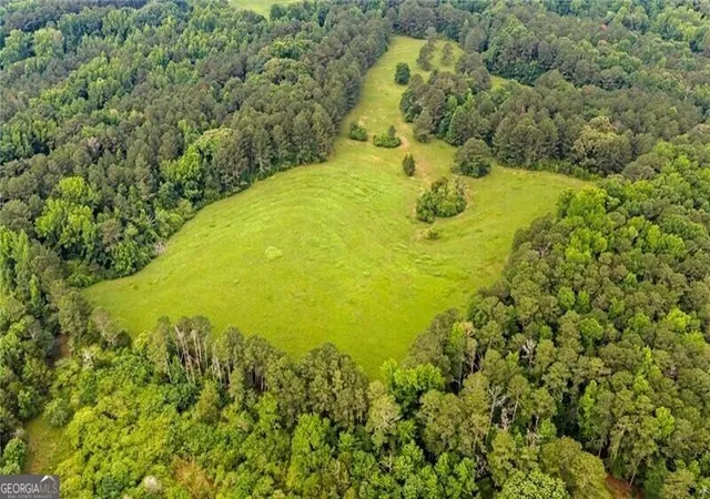 4th image of 0 Capps Ferry Rd, Chattahoochee Hills, GA 30268 | MLS# 10785896
