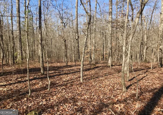 Photo 3 of Land for sale at 0 Big A Rd, Douglasville, GA 30135 | MLS# 20169908 | Listing updated on 2026-09-28