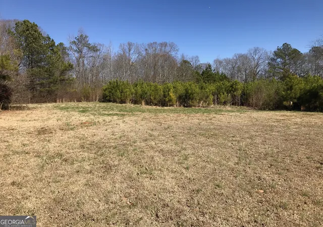 Photo 3 of Land for sale at 0 Big A Rd, Douglasville, GA 30135 | MLS# 20169908 | Listing updated on 2026-09-28