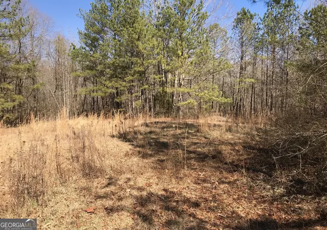 Photo 4 of Land for sale at 0 Big A Rd, Douglasville, GA 30135 | MLS# 20169908 | Listing updated on 2026-09-28