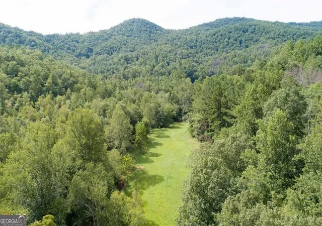 1st image of 0 Hwy 246, Dillard, GA 30537 | MLS# 10791216