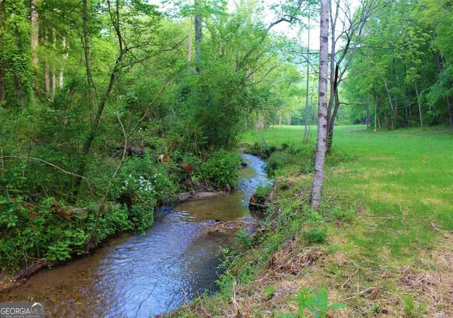 2nd image of 0 Hwy 246, Dillard, GA 30537 | MLS# 10791216