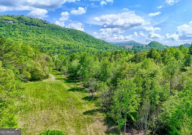 3rd image of 0 Hwy 246, Dillard, GA 30537 | MLS# 10791216