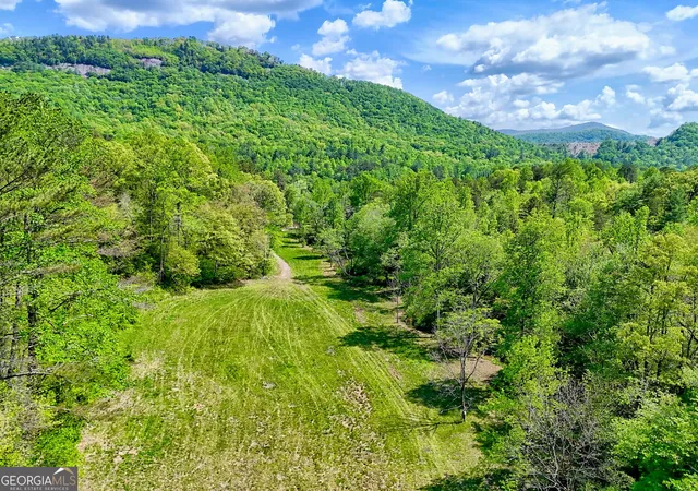 4th image of 0 Hwy 246, Dillard, GA 30537 | MLS# 10791216