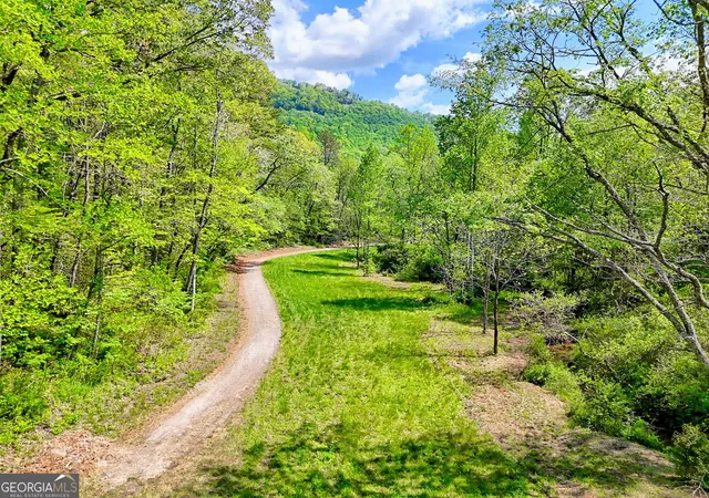 5th image of 0 Hwy 246, Dillard, GA 30537 | MLS# 10791216