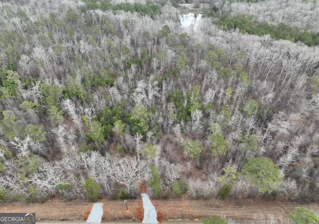 3rd image of 183 Rock Creek Rd, Flovilla, GA 30216 | MLS# 10796428