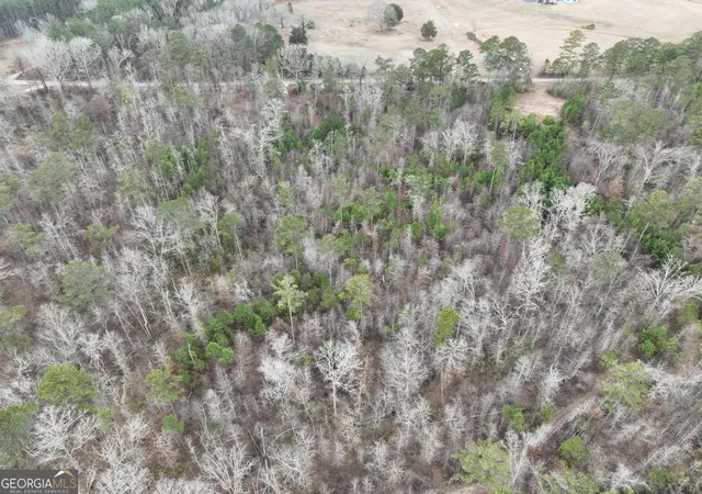 4th image of 183 Rock Creek Rd, Flovilla, GA 30216 | MLS# 10796428