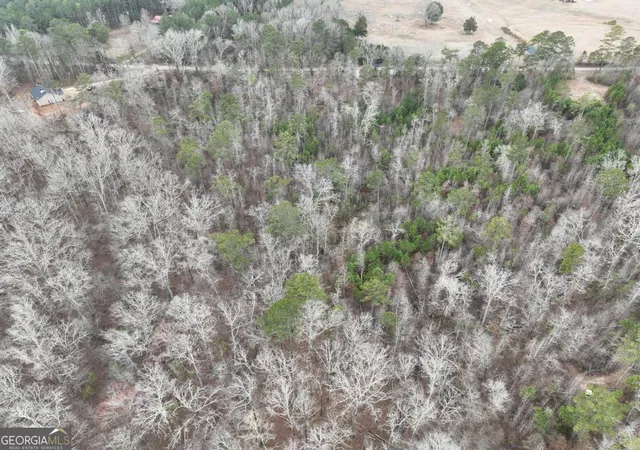 5th image of 183 Rock Creek Rd, Flovilla, GA 30216 | MLS# 10796428
