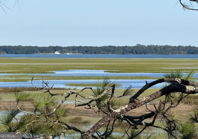 4th image of 0 Stern #769 St, Saint Marys, GA 31558 | MLS# 10674214