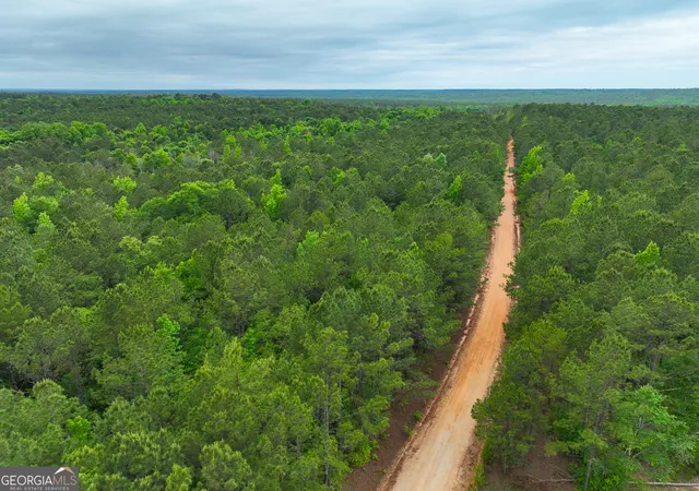 Photo 3 of Land for sale at 1099 Dixon Rd, Sparta, GA 31087 | MLS# 10763849 | Listing updated on 2026-06-17