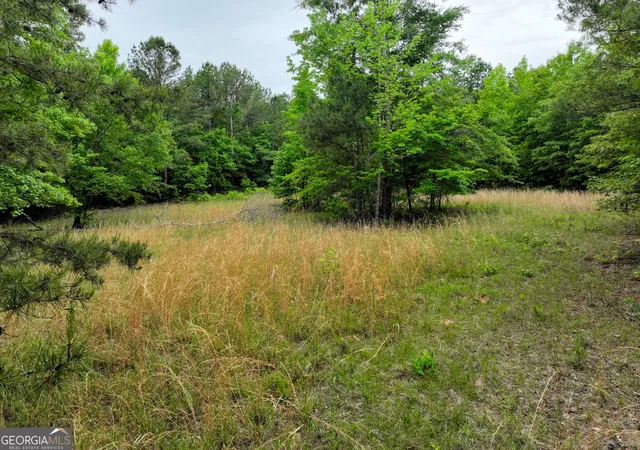 Photo 3 of House for sale at 1099 Dixon Rd, Sparta, GA 31087 | MLS# 10763849 | Listing updated on 2026-06-17