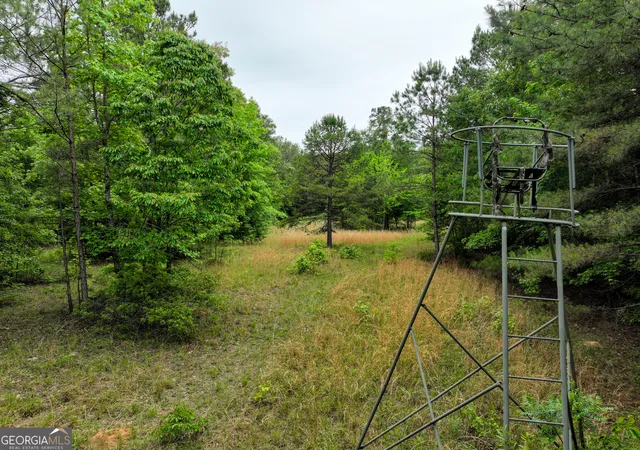 Photo 4 of House for sale at 1099 Dixon Rd, Sparta, GA 31087 | MLS# 10763849 | Listing updated on 2026-06-17