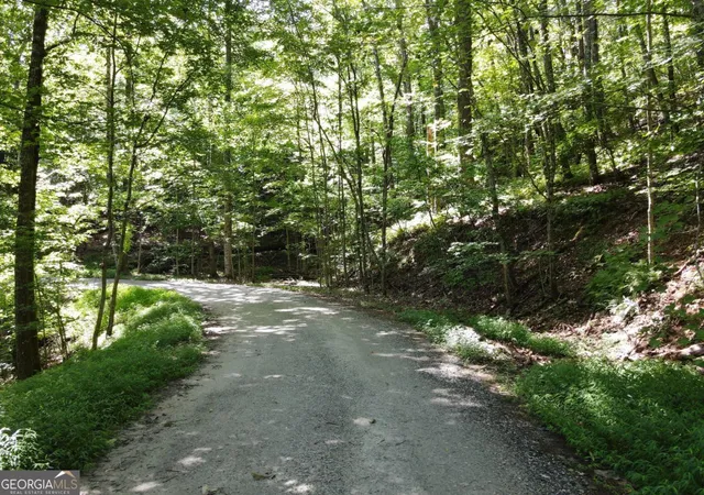 1st image of 0 Bald Eagle Path, Cleveland, GA 30528 | MLS# 10818655