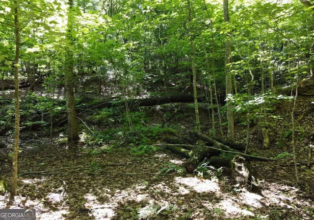 4th image of 0 Bald Eagle Path, Cleveland, GA 30528 | MLS# 10818655
