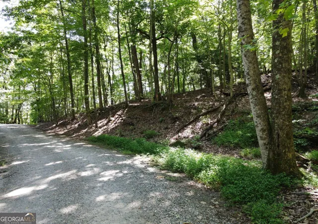 5th image of 0 Bald Eagle Path, Cleveland, GA 30528 | MLS# 10818655