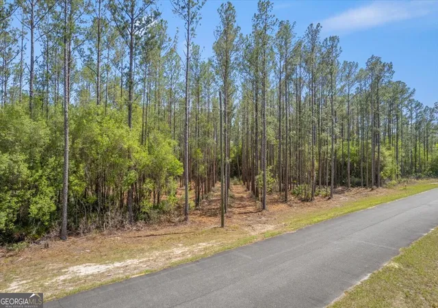 Homes for sale in Hortense, GA | Lot 22 Heritage Wy, Hortense, GA 31543 | MLS# 10731766