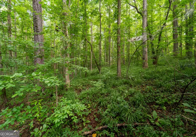 45th image of 309 Calusa Pl, Ball Ground, GA 30107 | MLS# 10818692