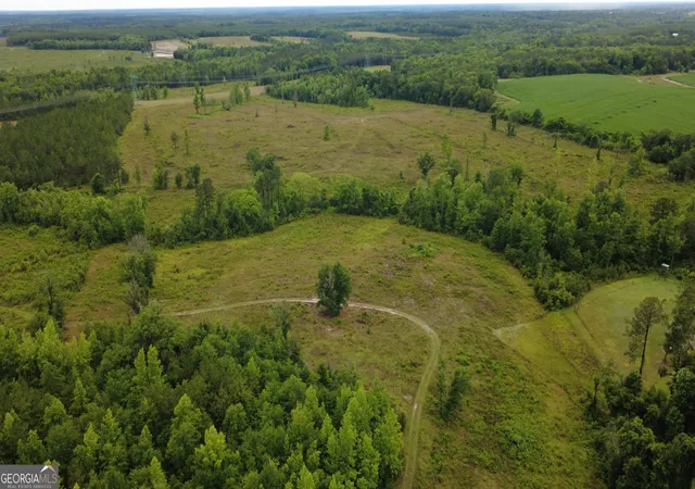 1st image of 0 Hwy 165, Eastman, GA 31023 | MLS# 10776860