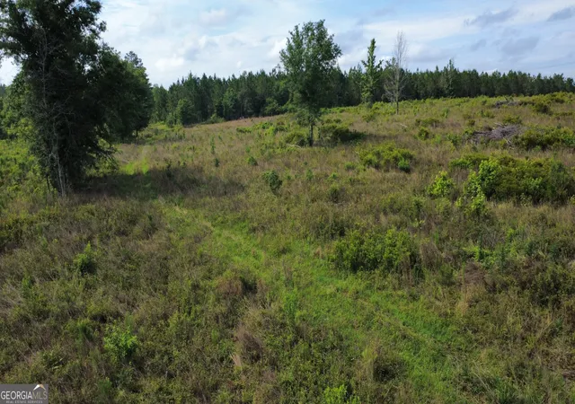 20th image of 0 Hwy 165, Eastman, GA 31023 | MLS# 10776860
