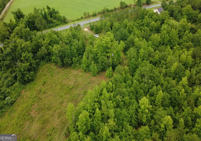 3rd image of 0 Hwy 165, Eastman, GA 31023 | MLS# 10776860