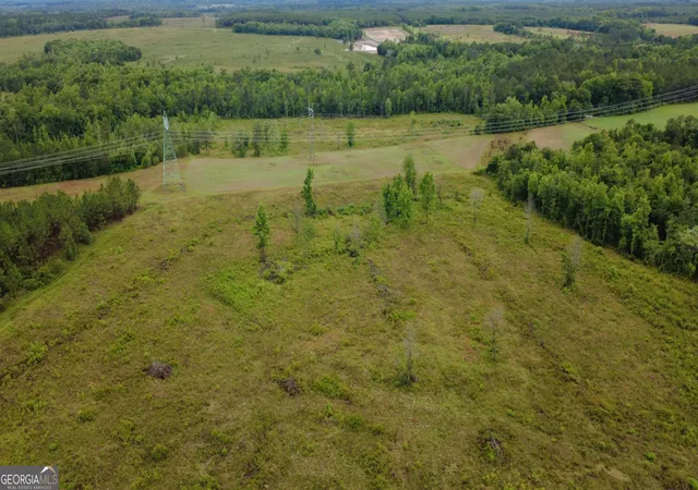 4th image of 0 Hwy 165, Eastman, GA 31023 | MLS# 10776860