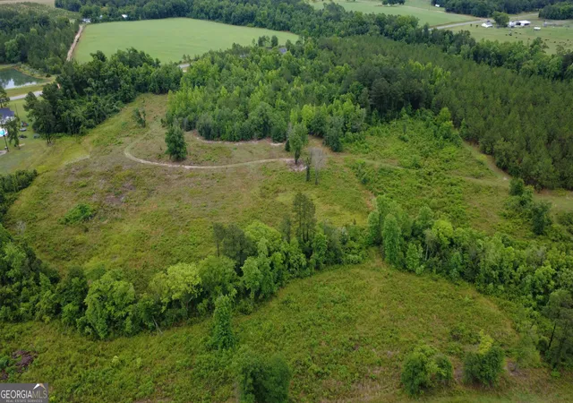 5th image of 0 Hwy 165, Eastman, GA 31023 | MLS# 10776860