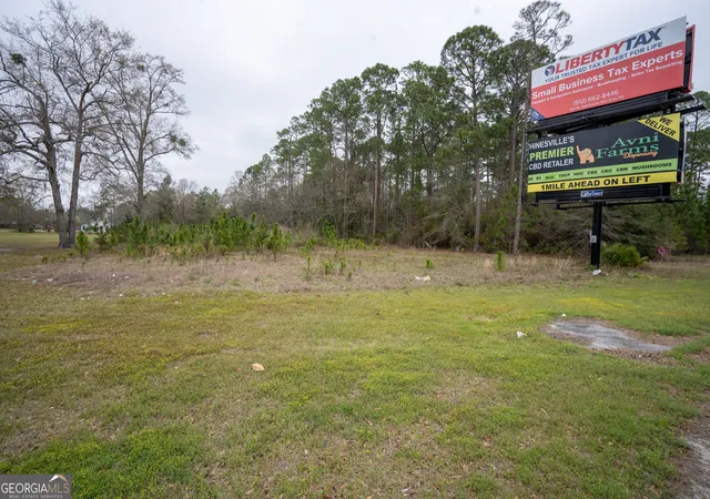 Photo 3 of Land for sale at 109 Ac Elma G Miles Pkwy, Hinesville, GA 31313 | MLS# 10484891 | Listing updated on 2026-03-25