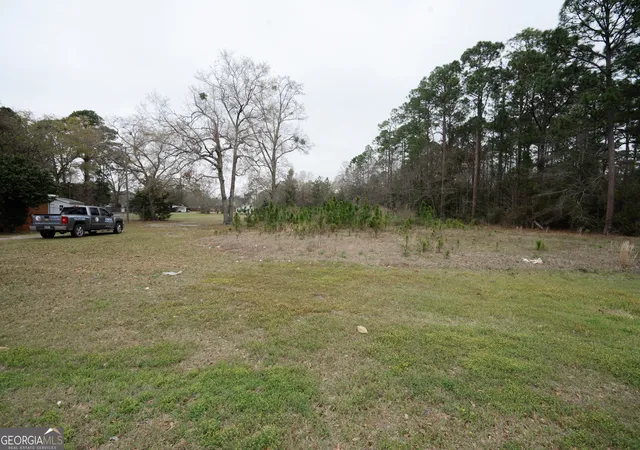 Photo 3 of Land for sale at 109 Ac Elma G Miles Pkwy, Hinesville, GA 31313 | MLS# 10484891 | Listing updated on 2026-03-25