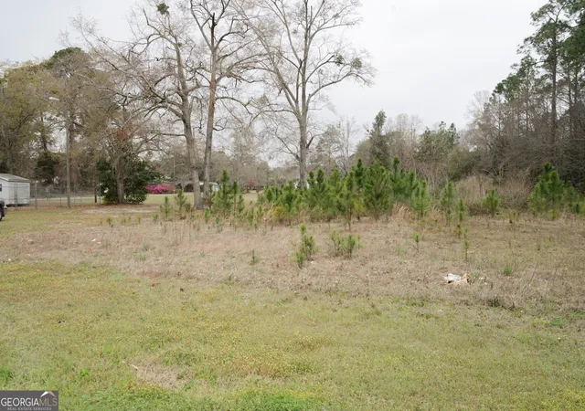 Photo 4 of Land for sale at 109 Ac Elma G Miles Pkwy, Hinesville, GA 31313 | MLS# 10484891 | Listing updated on 2026-03-25