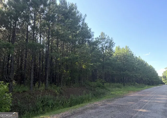 1st image of 78 Aubrey Mays Rd, Forsyth, GA 31029 | MLS# 10799747