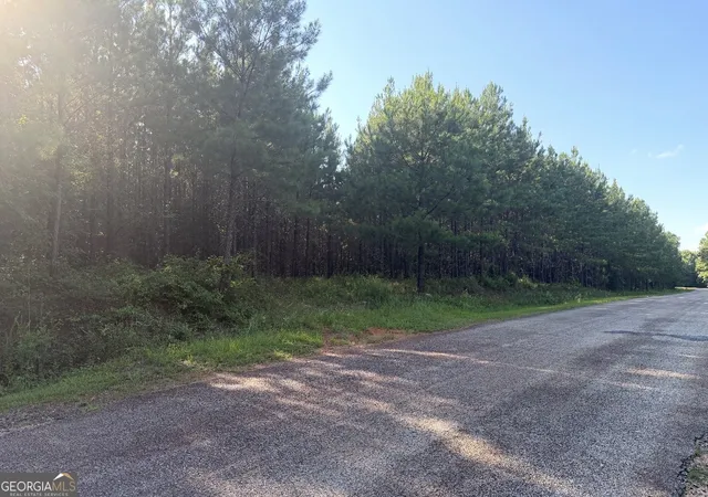 2nd image of 78 Aubrey Mays Rd, Forsyth, GA 31029 | MLS# 10799747