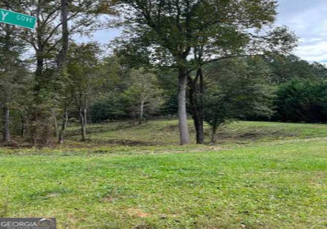 Photo 1 of Land for sale at 1001 Butterfly Cove Wy, Locust Grove, GA 30248 | MLS# 10805721 | Listing updated on 2026-08-31