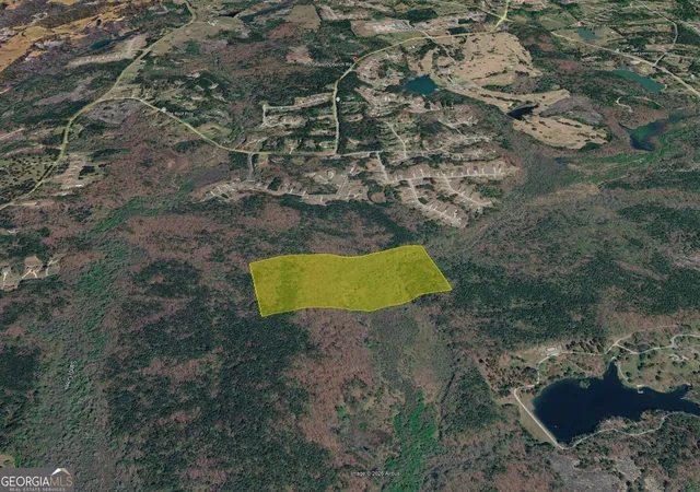 2nd image of 0 S Sharon Church Rd, Loganville, GA 30052 | MLS# 10769476