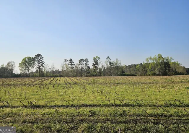 Photo 1 of Sale Pending at 0 Shiloh Rd, Greensboro, GA 30642 | MLS# 10781979 | Listing updated on 2026-06-22