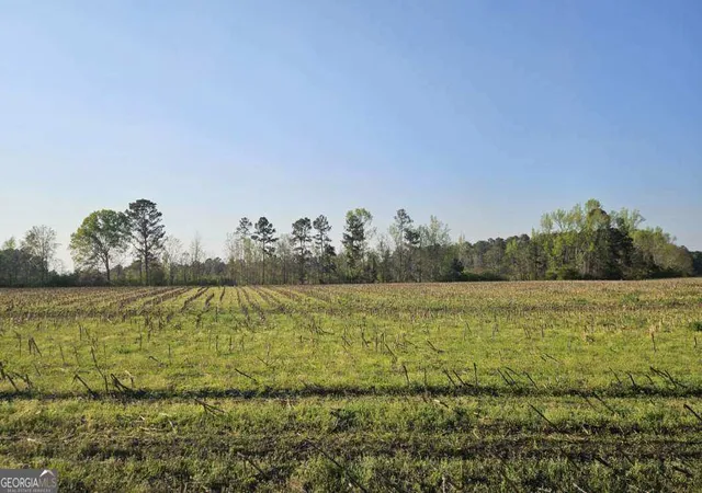 Photo 2 of Sale Pending at 0 Shiloh Rd, Greensboro, GA 30642 | MLS# 10781979 | Listing updated on 2026-06-22