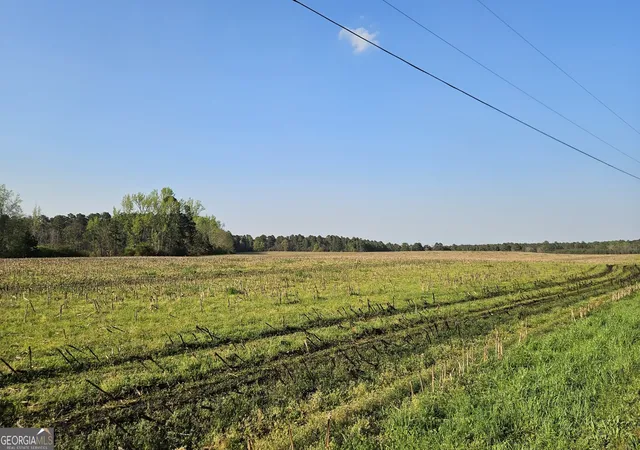 Photo 3 of Sale Pending at 0 Shiloh Rd, Greensboro, GA 30642 | MLS# 10781979 | Listing updated on 2026-06-22