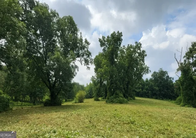 15th image of 0 W Atlanta St Off, Tallapoosa, GA 30176 | MLS# 10788746
