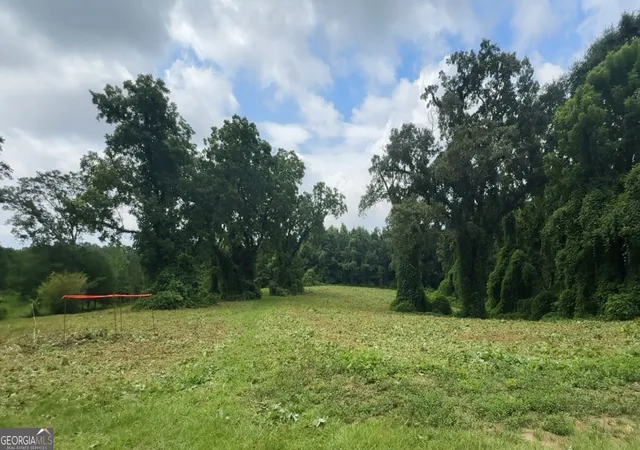 1st image of 0 W Atlanta St Off, Tallapoosa, GA 30176 | MLS# 10788746