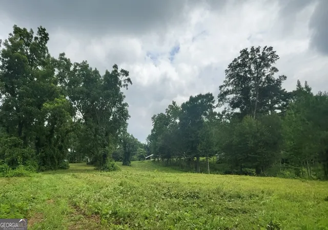 2nd image of 0 W Atlanta St Off, Tallapoosa, GA 30176 | MLS# 10788746