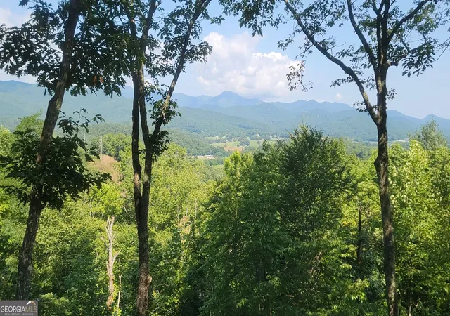 Photo 2 of Land for sale at 0 Fawn Ridge, Rabun Gap, GA 30568 | MLS# 10829404 | Listing updated on 2026-09-03