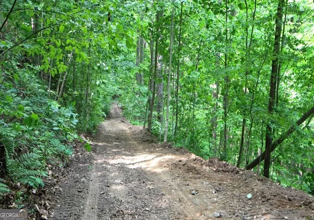 Photo 3 of Land for sale at 0 Fawn Ridge, Rabun Gap, GA 30568 | MLS# 10829404 | Listing updated on 2026-09-03
