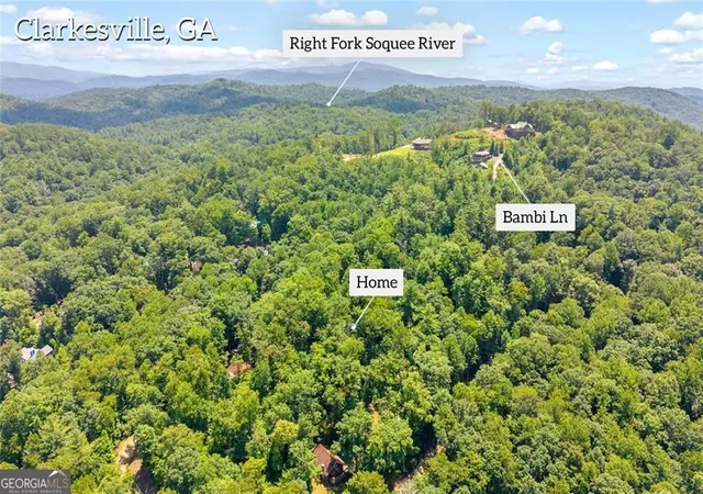 3rd image of 185 Pope Dickson Ln, Clarkesville, GA 30523 | MLS# 10821579